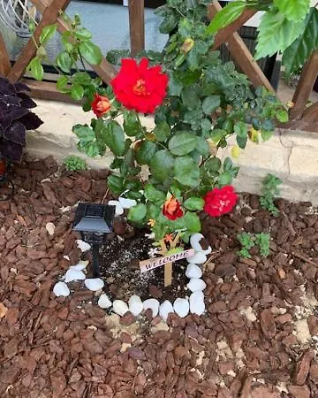 Stonehouse Dome Lagadia *