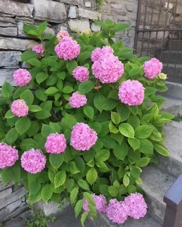 Stonehouse Dome Lagadia 펜션 *