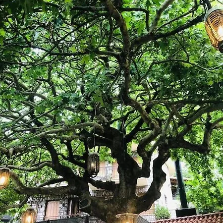 Stonehouse Dome Lagadia Holiday home *