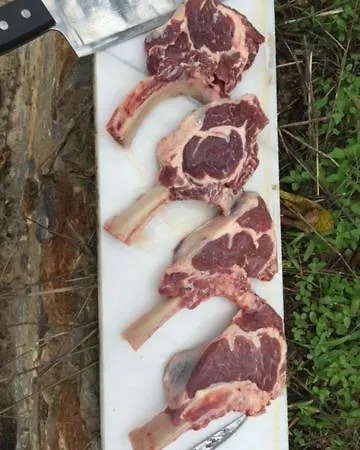 Stonehouse Dome Lagadia Holiday home *