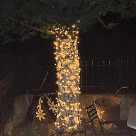 Stonehouse Dome Lagadia *