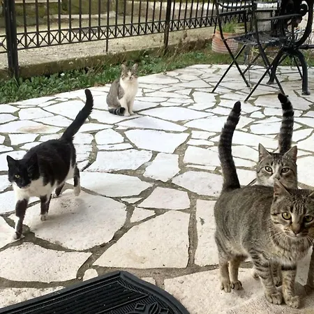 Stonehouse Dome Lagadia 펜션 라가디아