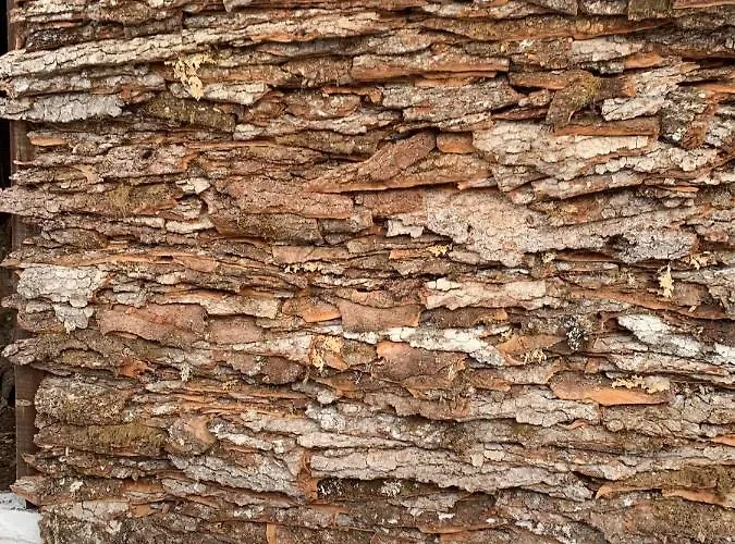 Stonehouse Dome Lagadia