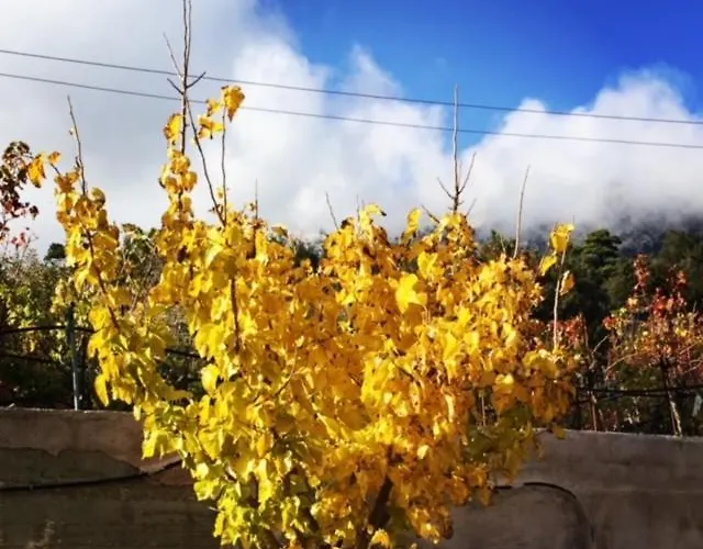 Stonehouse Dome Lagadia Langadia