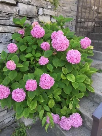 Stonehouse Dome Lagadia Holiday home *