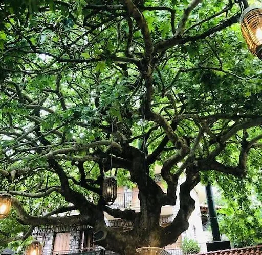 Stonehouse Dome Lagadia Feriehus *