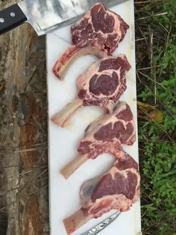 Stonehouse Dome Lagadia Feriehus *