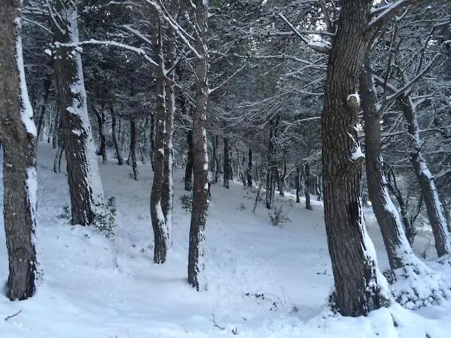 Stonehouse Dome Lagadia *