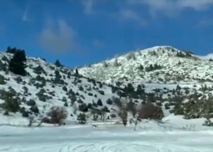 Stonehouse Dome Lagadia