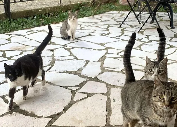 Stonehouse Dome Lagadia Feriehus Lagkadia